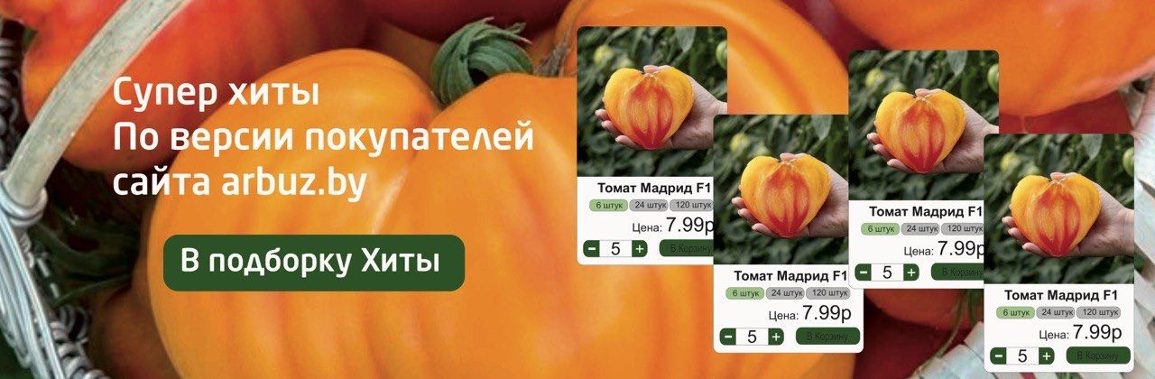 Супер хиты по версии покупателей arbuz.by