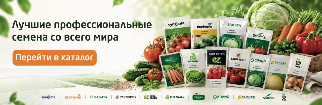 Лучшие профессиональные семена со всего мира